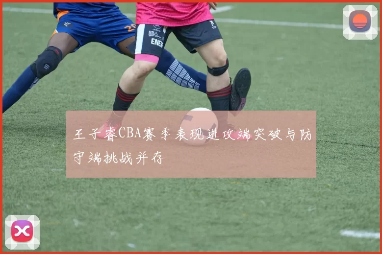 王子睿CBA赛季表现进攻端突破与防守端挑战并存